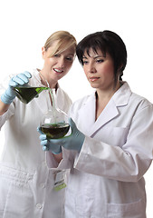 Image showing Laboratory workers