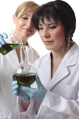 Image showing Chemists doing research