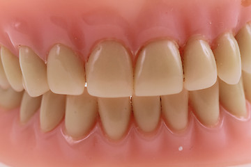 Image showing teeth prothesis background