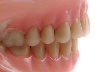 Image showing teeth prothesis background