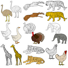 Image showing Sketch elephant, tiger, eagle, rooster, giraffe, ostrich, turkey, goose. chicken on a white background. illustration