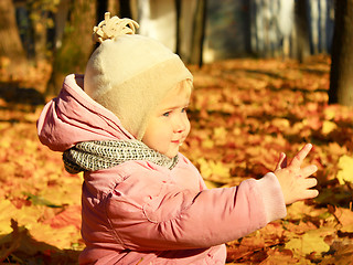 Image showing baby plays with Autumn leaves in the park