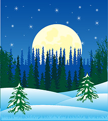 Image showing Winter night and wood