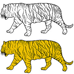 Image showing Sketch beautiful tiger on a white background. illustration