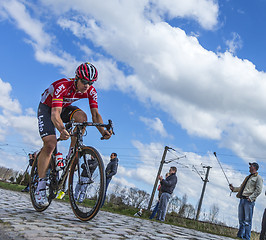 Image showing The Cyclist Jurgen Roelandts - Paris Roubaix 2016