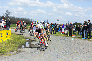 Image showing The Peloton - Paris Roubaix 2016