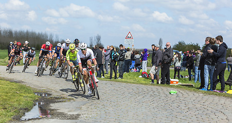 Image showing The Peloton - Paris Roubaix 2016