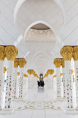 Image showing Magnificent interior of Sheikh Zayed Grand Mosque in Abu Dhabi, UAE.