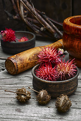 Image showing herbs alternative medicine