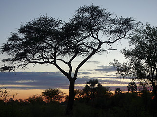 Image showing sunset sky