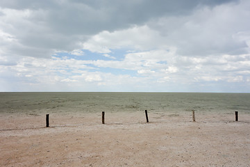 Image showing Etosha landscape