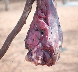 Image showing meat with flies