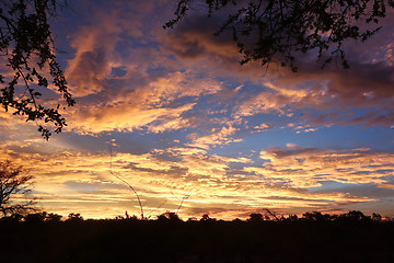 Image showing sunset sky