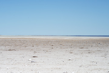 Image showing Etosha park