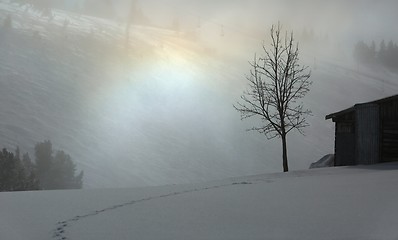 Image showing Foggy winter landscape