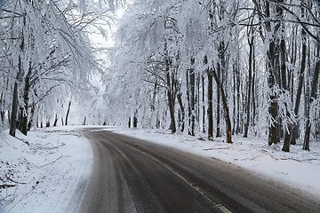 Image showing Winter Road Turns