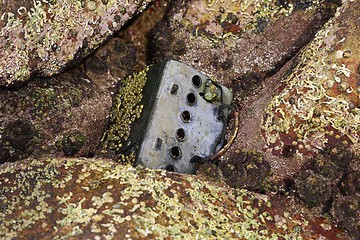 Image showing Toxic waste in Sea