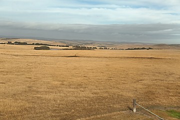 Image showing Fields of Australian agricultural landscape