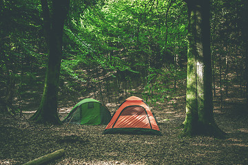 Image showing Camping tents in a forest