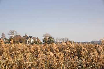 Image showing Mansion in wild nature with grass