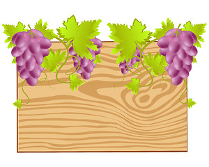 Image showing Board twining grape