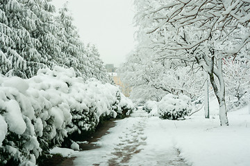 Image showing Walk the snowy winter day in the resort village Vityazevo, Krasnodar region
