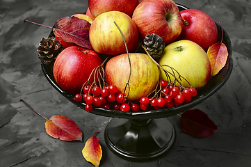 Image showing Apple and viburnum