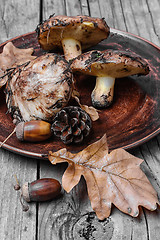 Image showing plate of forest mushrooms