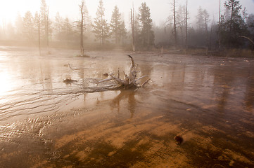 Image showing Yellowstone National Park, Utah, USA