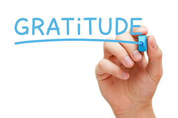 Image showing Gratitude Handwritten With Blue Marker