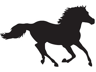 Image showing horse running