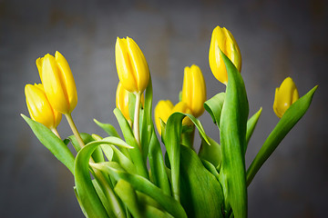 Image showing Bouquet of yellow tulips