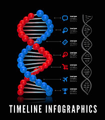 Image showing Dna infographics. Vector illustration