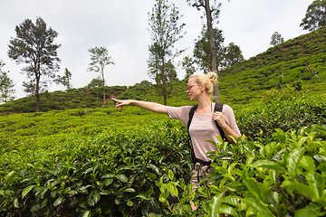 Image showing Female tourist enjoying beautiful nature of tea plantations, Sri Lanka.