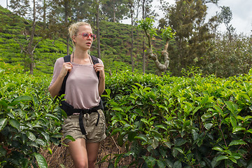 Image showing Female tourist enjoying beautiful nature of tea plantations, Sri Lanka.