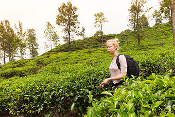 Image showing Female tourist enjoying beautiful nature of tea plantations, Sri Lanka.