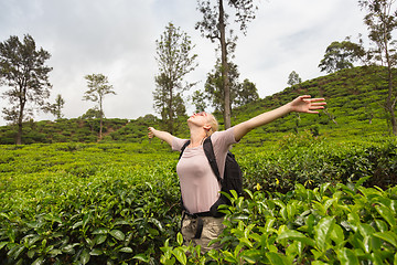 Image showing Female tourist enjoying beautiful nature of tea plantations, Sri Lanka.