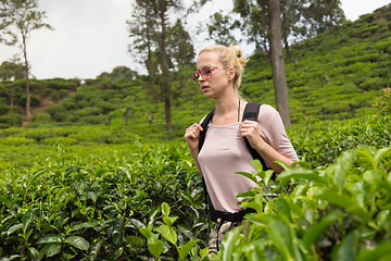 Image showing Female tourist enjoying beautiful nature of tea plantations, Sri Lanka.