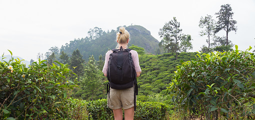 Image showing Female tourist enjoying beautiful nature of tea plantations, Sri Lanka.