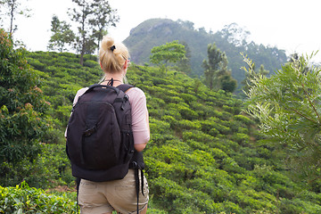 Image showing Female tourist enjoying beautiful nature of tea plantations, Sri Lanka.