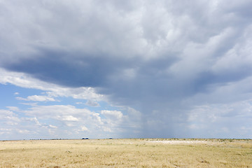 Image showing rainy weather