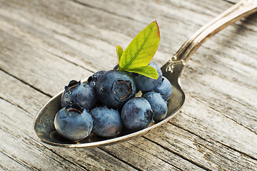 Image showing Blueberries