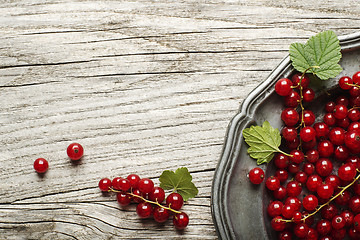 Image showing Redcurrant