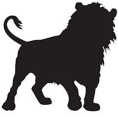 Image showing lion