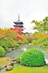 Image showing Five storied pagoda and autumn leaves at Toji temple in Kyoto