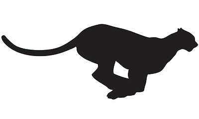Image showing  panther