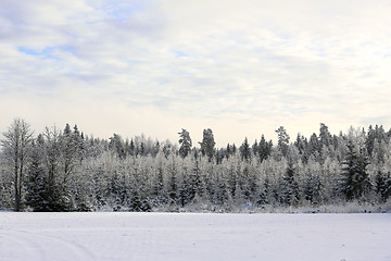 Image showing Winter Landscape in Pastel Colors