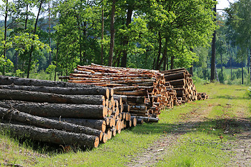 Image showing Stacks of Logs by Road at Summer