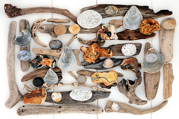 Image showing Treasure from the Beach