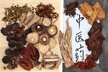 Image showing Chinese Herbal Medicine Selection